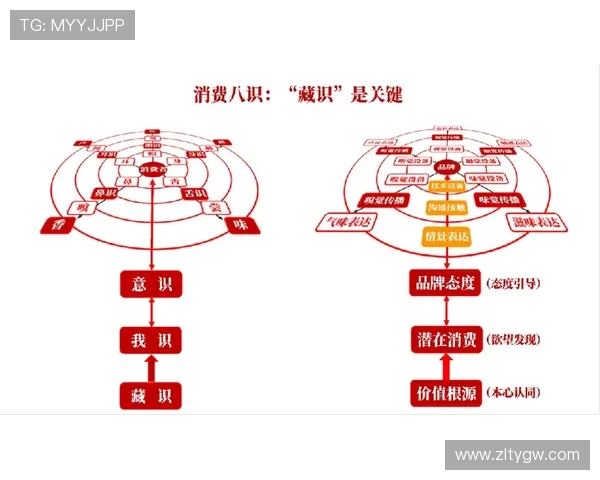 了解开云集团旗下品牌列表，帮助消费者选择适合自己的奢华品牌