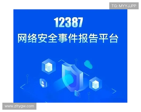 开云在线登录入口安全措施解析保障你的账号信息安全与隐私保护