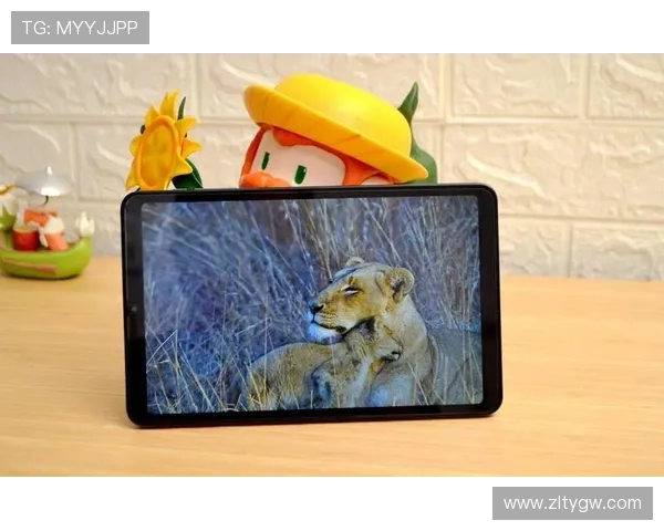 凯时国际：多平台无缝对接，支持手机、平板和电脑多终端畅玩体验