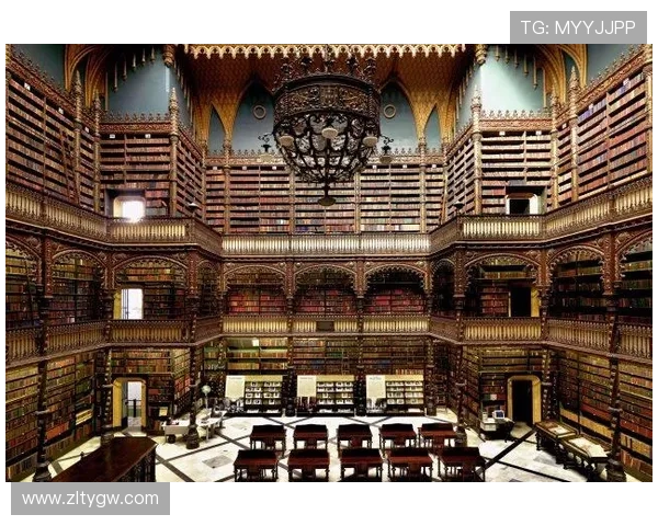 尊龙d88地址免费下载最新版本，安全稳定的官方渠道推荐