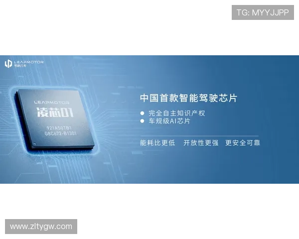 凯时在线登录遇到问题怎么办？详细解决方案帮你排忧解难