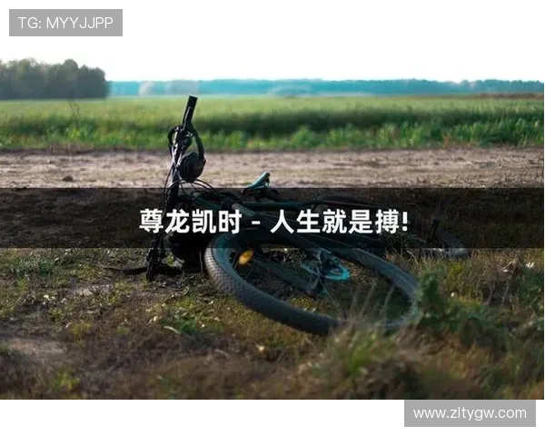 尊龙凯时人生就是博：用游戏中的智慧指导现实生活中的决策与行动