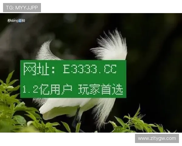 凯时官网网址官方入口推荐，提供多平台多设备登录支持