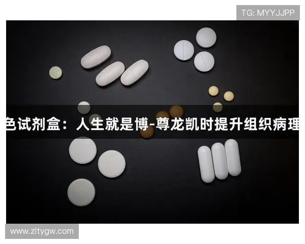 深入了解尊龙凯人生就是博平台的安全性与保障