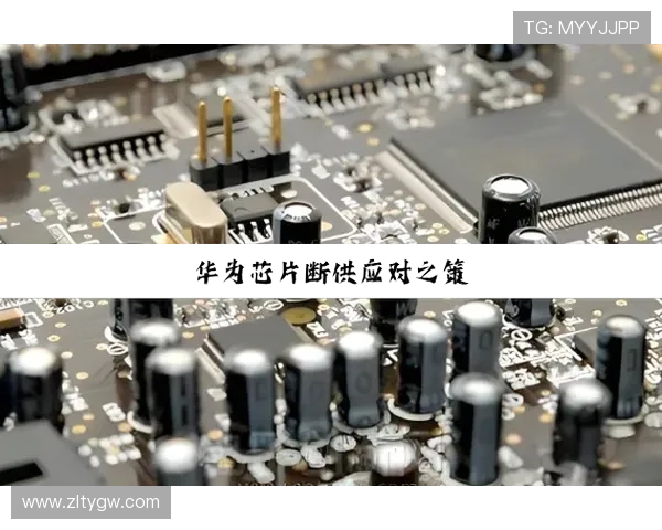 选择凯时尊龙入口：安全与娱乐并存的理想之地